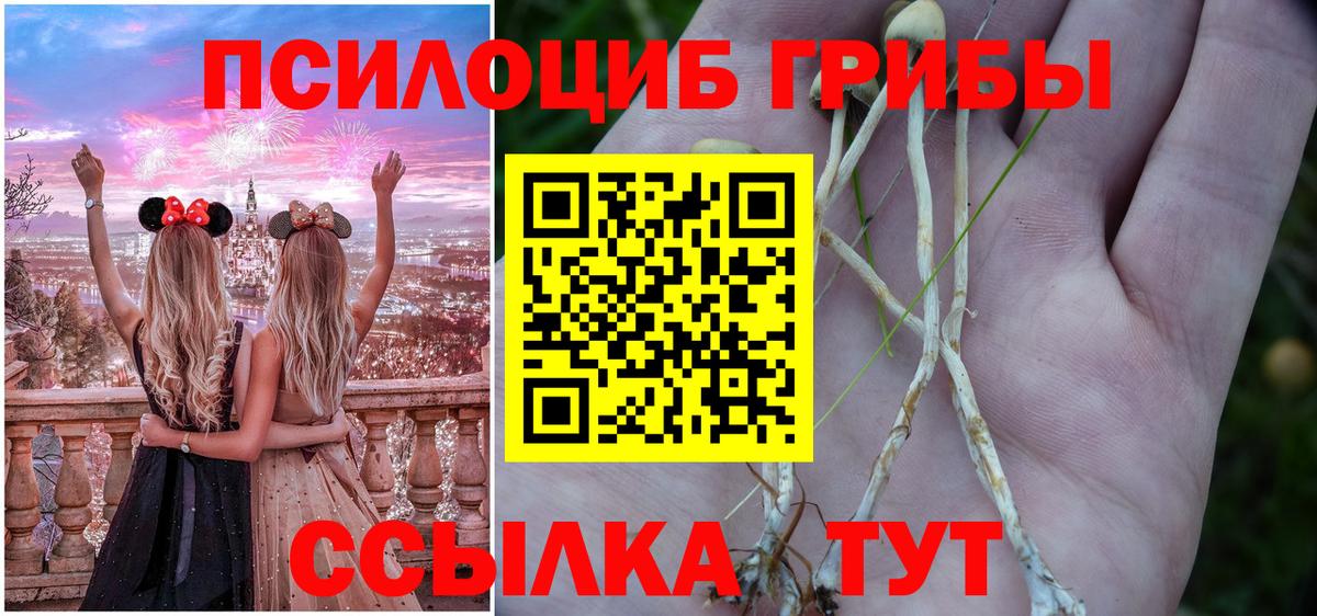 Псилоцибиновые грибы мухоморы Нижнекамск