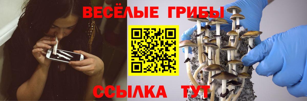 Галлюциногенные грибы GOLDEN TEACHER  Вход с VPN  Нижнекамск 
